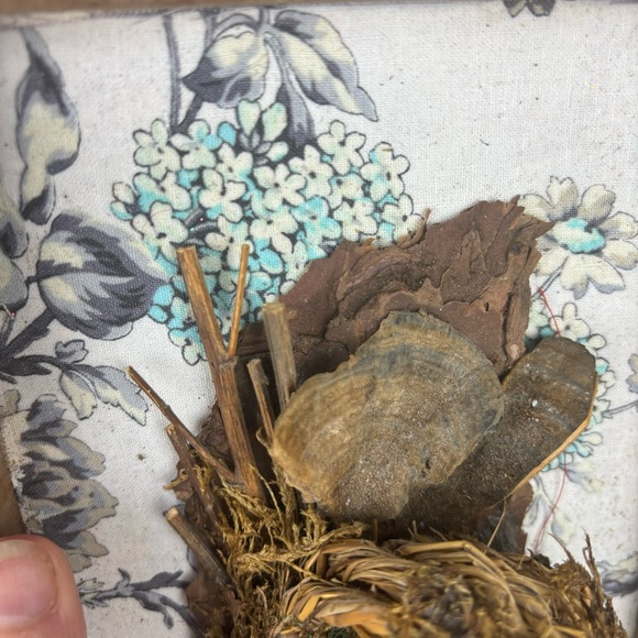 Lovingkindness home accents- Mixed media birds nest art in rustic frame - Picture 10 of 11